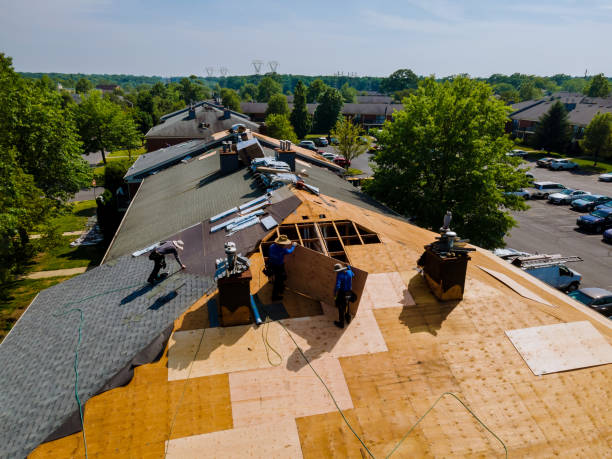 Quick and Trustworthy Emergency Roof Repair Services in Berkley, MI