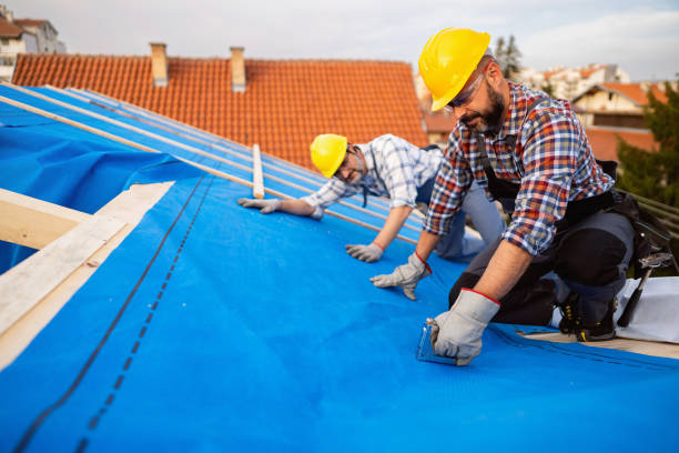 Best Metal Roofing Contractor  in Berkley, MI