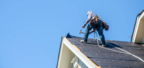 Best Residential Roofing Contractor  in Berkley, MI